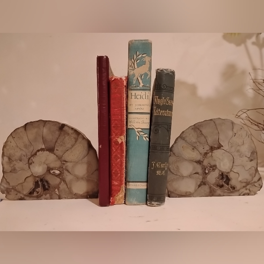 Ammonite Fossil Authentic Matched Pair Set Polished Natural Eco Decor Bookends - Picture 6 of 10